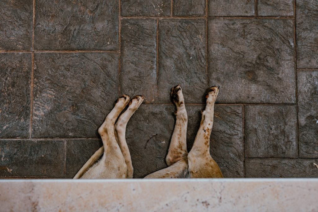 Photo bath renovations