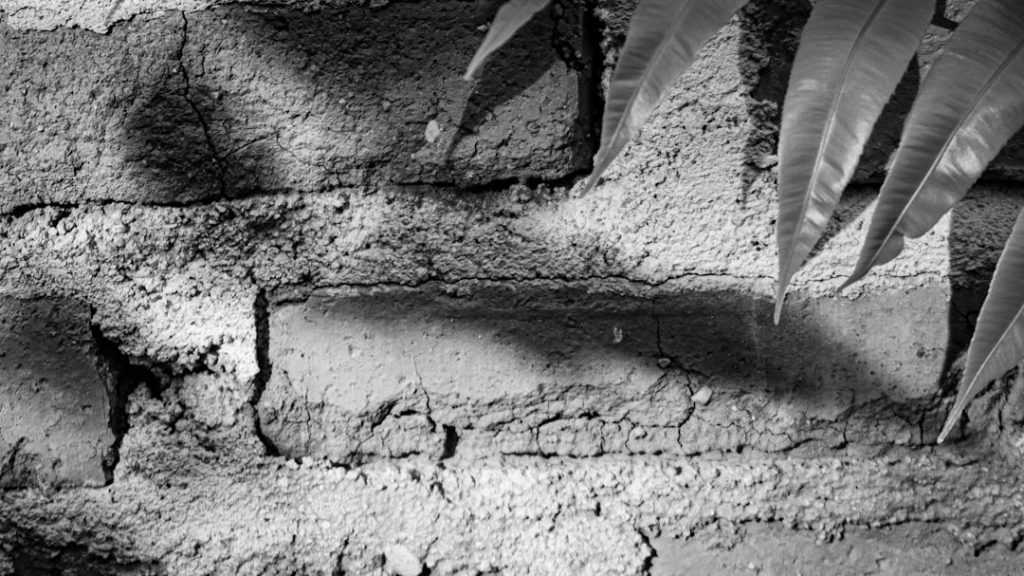 Photo renovation companies